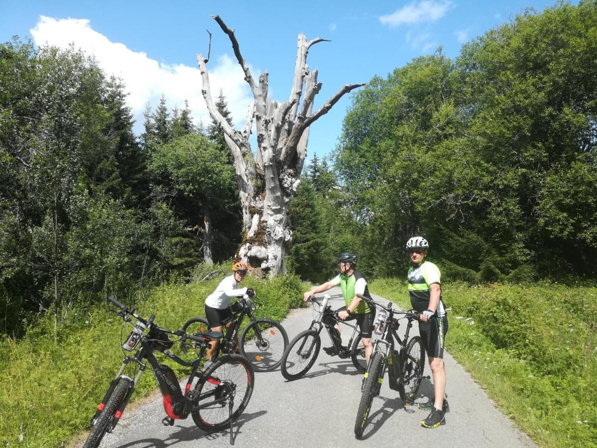 Ferienhof Schaubmeier Klaffer am Hochficht Exterior foto
