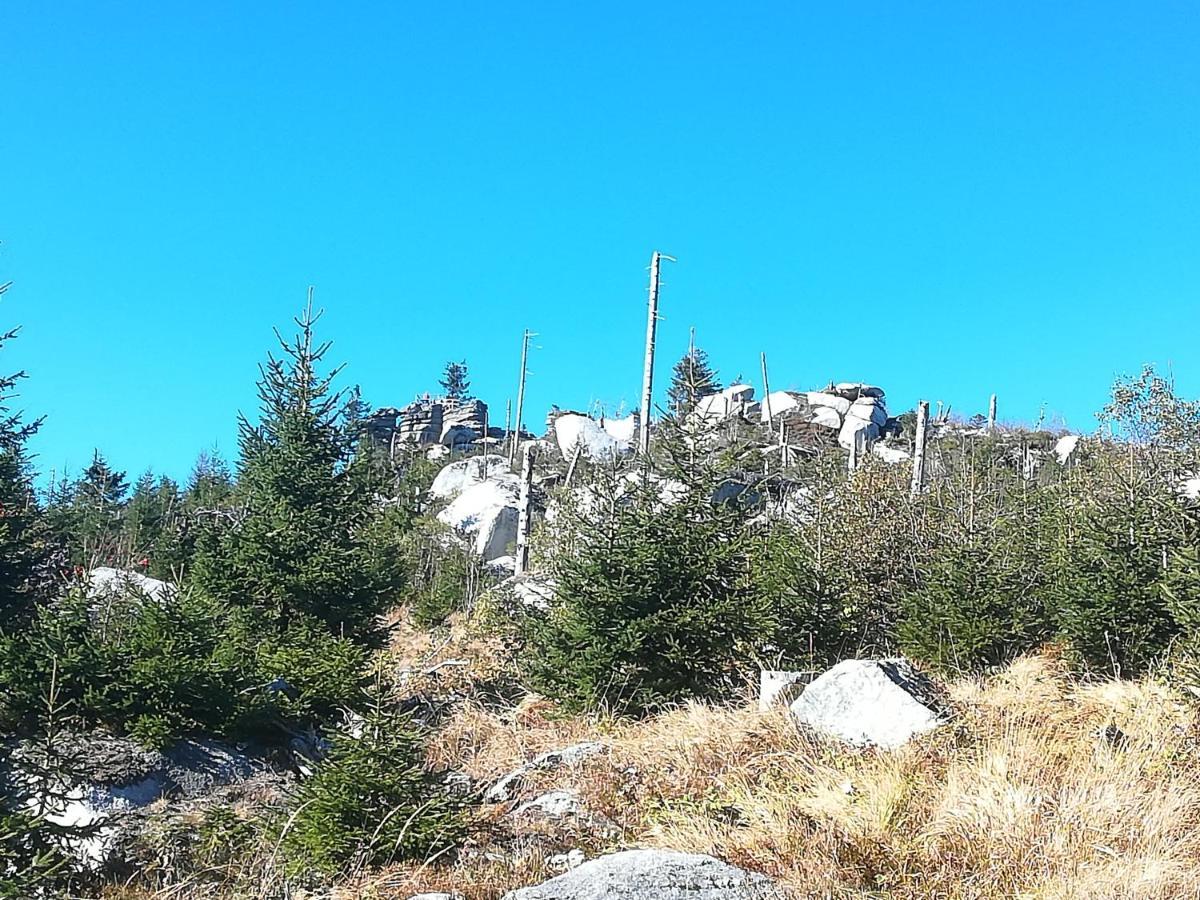 Ferienhof Schaubmeier Klaffer am Hochficht Exterior foto
