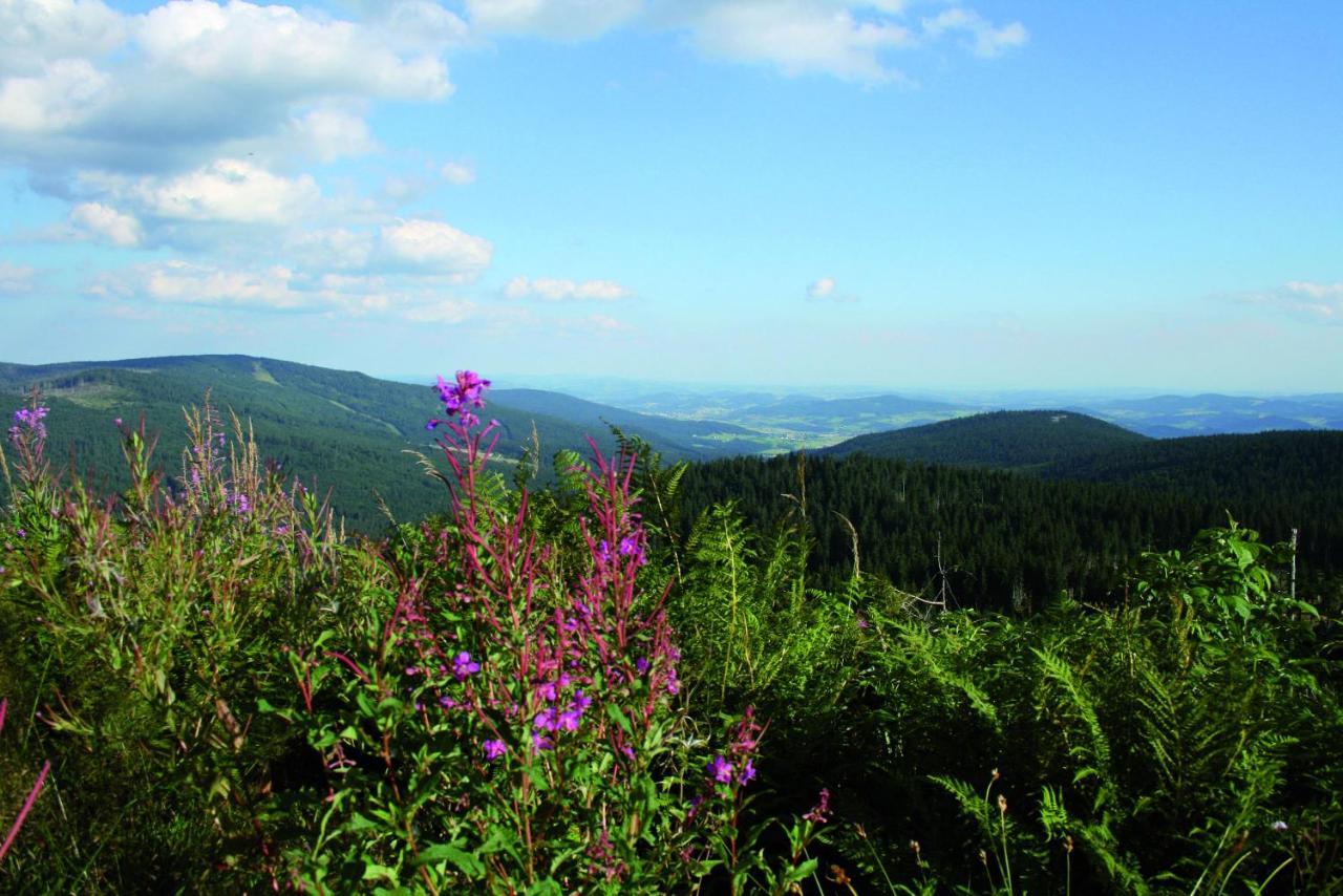 Ferienhof Schaubmeier Klaffer am Hochficht Exterior foto